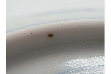 江戸期　古伊万里　宣徳年製　染付　変形　蛸唐草文　5寸皿　約15cm　総蛸唐草の絵付けに魅了される皿2枚セット(五寸、和皿、なます皿、和食器)(R-061821)