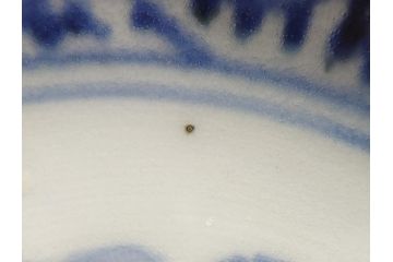 江戸期　古伊万里　染付　蛸唐草文　5寸皿　約15cm　伊万里焼の伝統美が詰まった皿2枚セット(五寸、和皿、小皿、小鉢、和食器)(R-061822)
