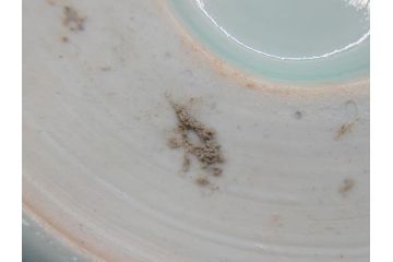 江戸期　古伊万里　染付　蛸唐草文　5寸皿　約15cm　伊万里焼の伝統美が詰まった皿2枚セット(五寸、和皿、小皿、小鉢、和食器)(R-061822)