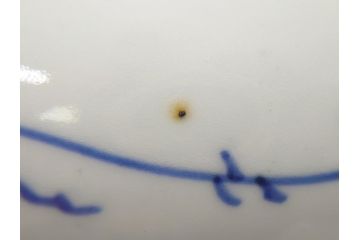 江戸期　古伊万里　花盆図　7寸皿　約21.5　ひとつひとつ丁寧に絵付けされた中皿3枚セット(七寸、稜花型、輪花型、雷紋、変形皿、和食器、和皿)(R-061871)