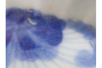 染付　楕円　菊形　花?図　3.6寸皿　約11　上品なフォルムが食卓のアクセントになる小皿5枚セット(三寸六分、和皿、変形皿、和食器)(R-061873)