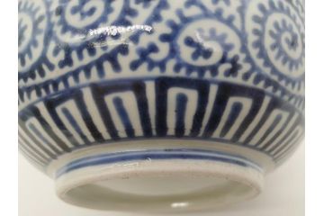 江戸期　古伊万里　銚子　染付　蛸唐草　存在感のある蛸唐草と花絵付けが印象的な急須(水注、茶道具)(R-061877)