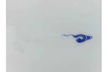 明治期　鍋島焼　鍋島家　染付　杏葉の紋　麒麟図　威厳に満ちた凛々しい麒麟図の飾り壺(花瓶、花入れ)(R-061895)
