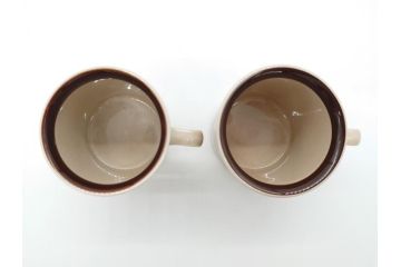 ARABIA FINLAND　Ruija(ルイージャ)　Ulla Procope(ウラ・プロコッペ)　優しさと温かみある絵付けが印象的なカップ&ソーサー2客セット(アラビア、フィンランド、Sモデル、北欧食器、C&S)(R-061929)
