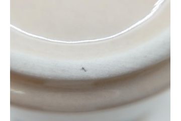 ARABIA FINLAND　Ruija(ルイージャ)　Ulla Procope(ウラ・プロコッペ)　優しさと温かみある絵付けが印象的なカップ&ソーサー2客セット(アラビア、フィンランド、Sモデル、北欧食器、C&S)(R-061929)