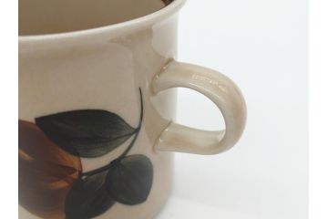 ARABIA FINLAND　Ruija(ルイージャ)　Ulla Procope(ウラ・プロコッペ)　優しさと温かみある絵付けが印象的なカップ&ソーサー3客セット(アラビア、フィンランド、Sモデル、北欧食器、C&S)(R-061948)