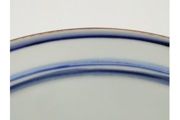 京都府無形文化財　竹中浩　色絵水仙文　温かみのある絵付けが魅力の皿(共箱付き、大皿、プレート、作家物、和食器)(R-061952)