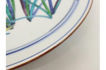 京都府無形文化財　竹中浩　色絵水仙文　温かみのある絵付けが魅力の皿(共箱付き、大皿、プレート、作家物、和食器)(R-061952)