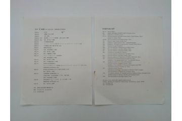 京都府無形文化財　竹中浩　色絵水仙文　温かみのある絵付けが魅力の皿(共箱付き、大皿、プレート、作家物、和食器)(R-061952)