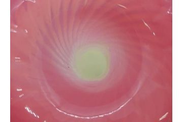 西洋アンティーク　ヴァセリンガラス　ウラン　繊細で華やかな装飾が目を惹く花瓶(花器、花入、フラワーベース、ワセリンガラス、木箱付き)(R061964)