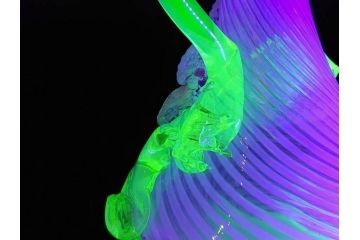西洋アンティーク　ヴァセリンガラス　ウラン　繊細で華やかな装飾が目を惹く花瓶(花器、花入、フラワーベース、ワセリンガラス、木箱付き)(R061964)