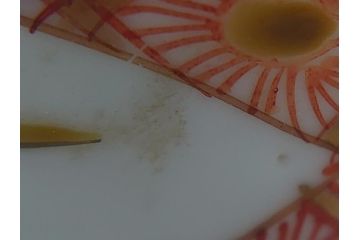 幕末〜明治　伊万里　色絵　染付　角富　牡丹文　食卓に華やかな彩りをもたらす猪口7客セット(和食器、雷紋、角冨)(R-061969)