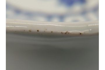 染付　捻文　蝙蝠に牡丹の図　9.4寸皿　約28.5cm　捻じりの模様が印象的な大皿(九寸四分、変形皿、和食器、和皿)(R-061972)