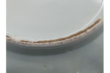 染付　捻文　蝙蝠に牡丹の図　9.4寸皿　約28.5cm　捻じりの模様が印象的な大皿(九寸四分、変形皿、和食器、和皿)(R-061972)