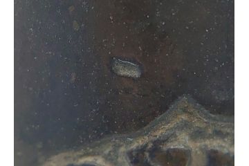 古玩　古銅　麒麟と亀の図　使い込むほどに深みが出る両取っ手付きの花瓶(花器、四つ脚、一輪挿し)(R-062050)