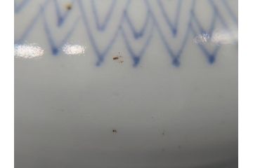 上手物　江戸期　古伊万里　大明成化年製　染付　色絵　花文　鳳凰　8.6寸皿　約26　色彩とフォルムの美しさが食卓に華やかさを演出する変形皿(八寸六分、深皿、和食器、花唐草、和皿)(R-062051)