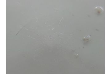 明治期　伊万里焼　色絵染付　蓋茶碗3客(角冨、角富、和食器)(R-062060)