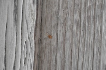 和製ヴィンテージ　希少!　国産　職人　浮造り　彫刻入りの特注総桐箪笥　(R-062063)