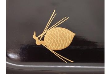 蒔絵　木製　内銀塗　漆　松牡丹文　凛とした気品漂う杯洗2客セット(盃洗、椀、お盆、和食器)(R-062076)