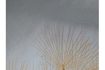 蒔絵　木製　内銀塗　漆　松牡丹文　凛とした気品漂う杯洗3客セット(盃洗、椀、お盆、和食器)(R-062077)