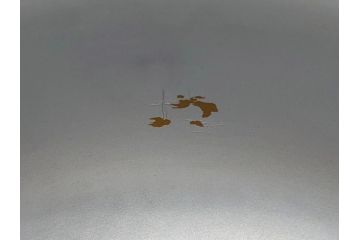 蒔絵　木製　内銀塗　漆　松牡丹文　凛とした気品漂う杯洗3客セット(盃洗、椀、お盆、和食器)(R-062077)