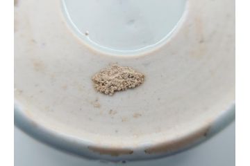 古民具・骨董　江戸後期　染付　雲龍図　蕎麦猪口5客セット(和食器)(R-062080)