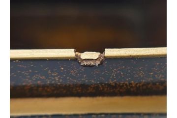 江戸〜明治期　木製　梨地　漆器　蒔絵　長門沢瀉文　凛とした佇まいが気品を感じさせる小箱3個セット(大1個、小2個)(小物入れ、漆工芸)(R-062082)