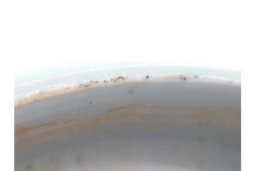 江戸後期　古伊万里　染付　線描　7.3寸　約22cm　一筆一筆丁寧な職人の絵付け技術が光る深鉢(七寸三分、雷紋、花、鳥、変形皿、深皿、輪花鉢、和食器、和皿)(R-062104)