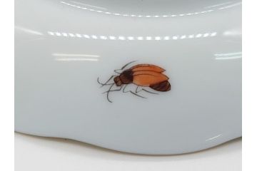 ヘレンド　ハンガリー　HEREND HVNGARY　HANDPAINTED　ロスチャイルド・バード　トリオ　美しい金彩の飾りで縁取られたエレガントな皿&カップ&ソーサー(HUNGARY、プレート、C&S)(R-062106)