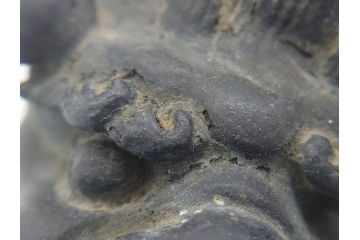 古玩　古銅　香炉　意匠を凝らした彫刻が見事な獅子2体(大、小)(置物、ディスプレイ、仏具、中国?)(R-062139)
