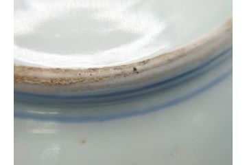 古伊万里　染付　丸紋　隅切り　5.3寸　約16cm　食卓を爽やかに彩る正角皿3客セット(葵、団花紋、五寸三分、変形皿、中皿、和皿、和食器)(R-062142)