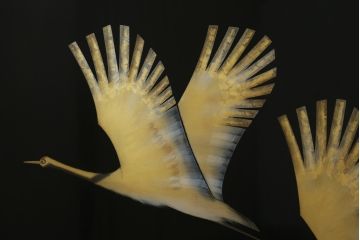 中古　輪島塗り　加治武作　飛び立つ鶴の美しさに目が奪われる衝立て(仕切り、パーテーション、つい立て)(R-062225)
