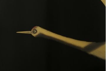 中古　輪島塗り　加治武作　飛び立つ鶴の美しさに目が奪われる衝立て(仕切り、パーテーション、つい立て)(R-062225)