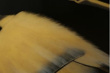 中古　輪島塗り　加治武作　飛び立つ鶴の美しさに目が奪われる衝立て(仕切り、パーテーション、つい立て)(R-062225)