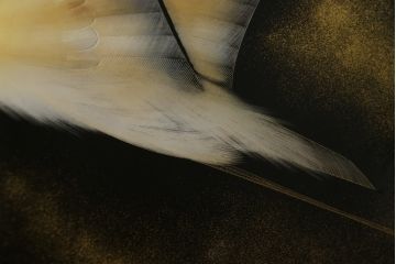 中古　輪島塗り　加治武作　飛び立つ鶴の美しさに目が奪われる衝立て(仕切り、パーテーション、つい立て)(R-062225)
