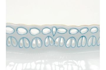 ハンガリー　HEREND HVNGARY ヘレンド　ヴィクトリア　花と蝶　エレガントで高貴な印象のプレート(トレイ、角皿、透かし、ビクトリア)(R-062236)
