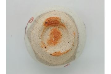 人間国宝　藤本能道　赤絵　ぐい呑み(共箱付き、花文、色絵磁器、作家物)(R-062237)