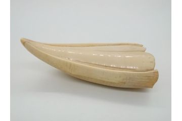 歯牙　クジラの歯3本セット(大・中・小)(素材、印材、彫刻材料、根付)(R-062240)