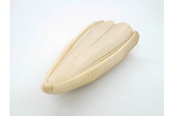 歯牙　クジラの歯3本セット(大・中・小)(素材、印材、彫刻材料、根付)(R-062240)