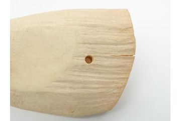 歯牙　クジラの歯3本セット(大・中・小)(素材、印材、彫刻材料、根付)(R-062240)