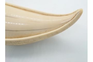 歯牙　クジラの歯3本セット(大・中・小)(素材、印材、彫刻材料、根付)(R-062240)