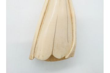 歯牙　クジラの歯3本セット(大・中・小)(素材、印材、彫刻材料、根付)(R-062240)