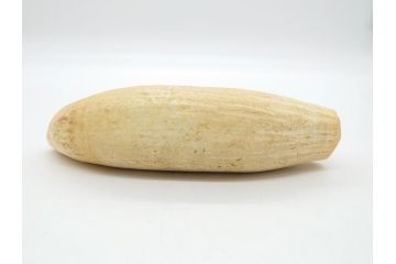歯牙　クジラの歯3本セット(大・中・小)(素材、印材、彫刻材料、根付)(R-062240)