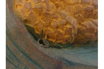 大正〜昭和初期　木彫り　雷鳥　温もり溢れる素朴なデザインの鳥の置物(在銘あり、置き物、ディスプレイ)(R-062269)