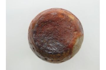 横山直樹　備前焼　自然練込　徳利(共箱付き、とっくり、酒器、花瓶、花器、作家物)(R-062276)