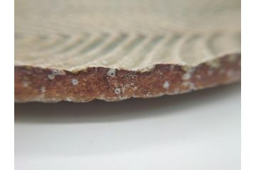 坂田甚内　益子焼　9寸皿　約27cm　波文　灰釉鎬手皿(共箱付き、九寸、大皿、和食器、和皿、プレート、作家物)(R-062277)