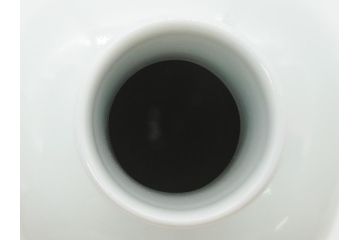 今泉今右衛門　今泉陶園　綿花画花瓶(共箱付き、花器、赤絵、色絵付)(R-062278)