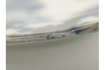 江戸期　古伊万里　染付　人物　5.6寸皿　約17cm　静けさが漂う山水図と縁の大胆なデザインが魅力の皿3客セット(中皿、和食器、和皿、リム皿、五寸六分)(R-062299)