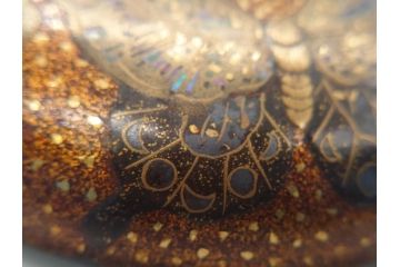 江戸〜明治期　時代物　梨地　螺鈿　蝶描金　木製　高蒔絵　金彩　銀彩　煌びやかに舞う蝶のデザインが魅力の香合(共箱付き、刑部梨地、漆器)(R-062330)