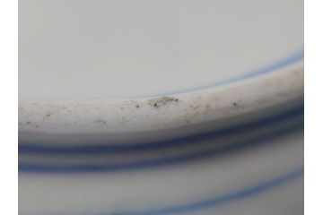 江戸期　古伊万里　色絵　角福　青海波文　8.6寸皿　約26cm　鮮やかな色彩と奇抜なフォルムが食卓のアクセントとなる変形皿5客セット(大皿、八寸六分、和食器、和皿)(R-062349)